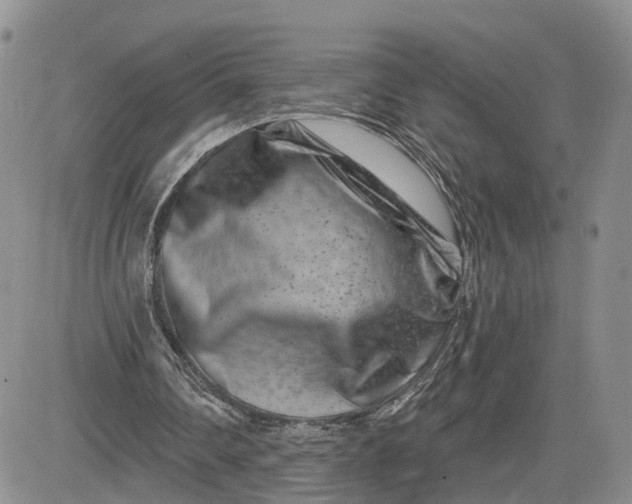 X0000081420290200701261601