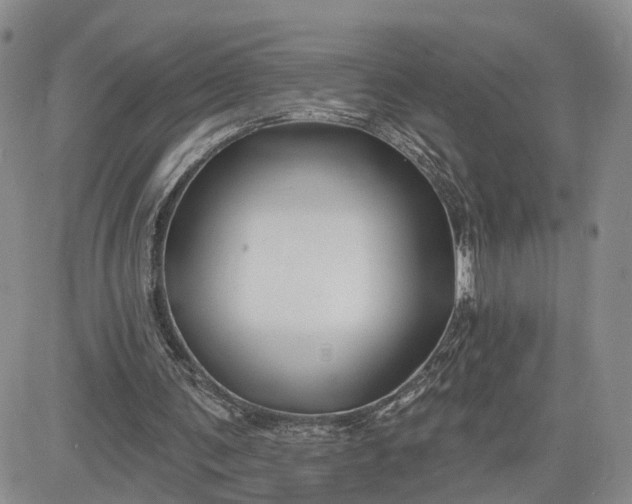 X0000081420291200701261601