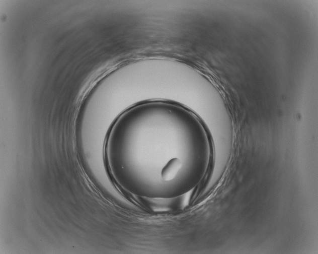 X0000081420293200701261601