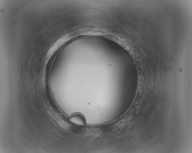 X0000081420296200701261601