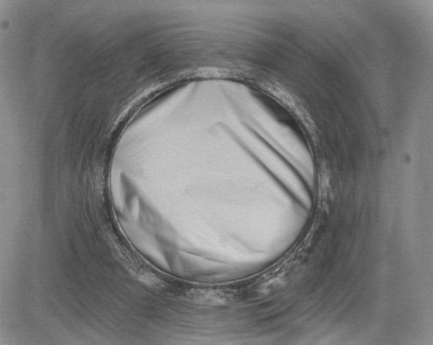 X0000081420297200701261601