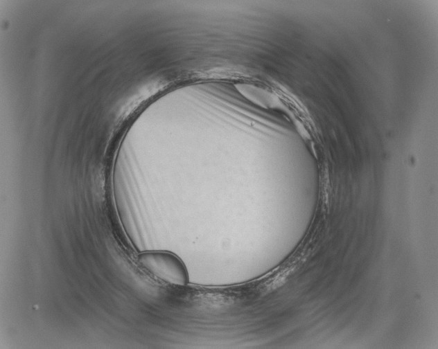 X0000081420298200701261601