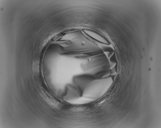 X0000081420299200701261601