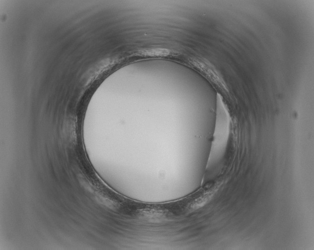 X0000081420300200701261601