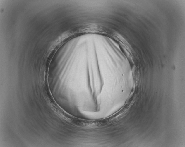 X0000081420301200701261600