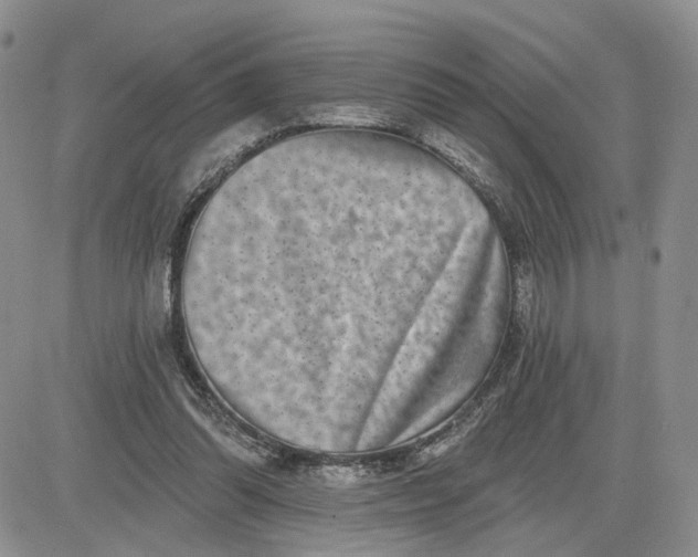 X0000081420302200701261600