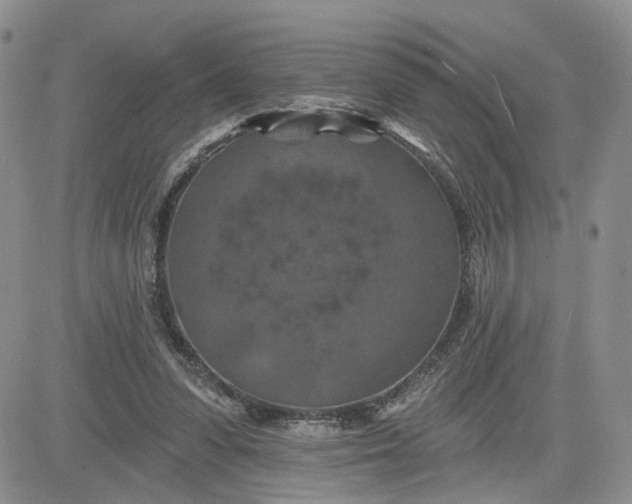 X0000081420303200701261600