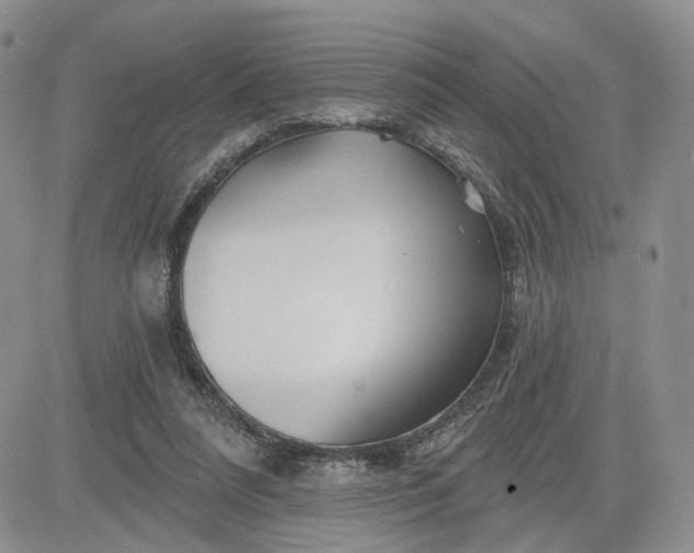 X0000081420304200701261600