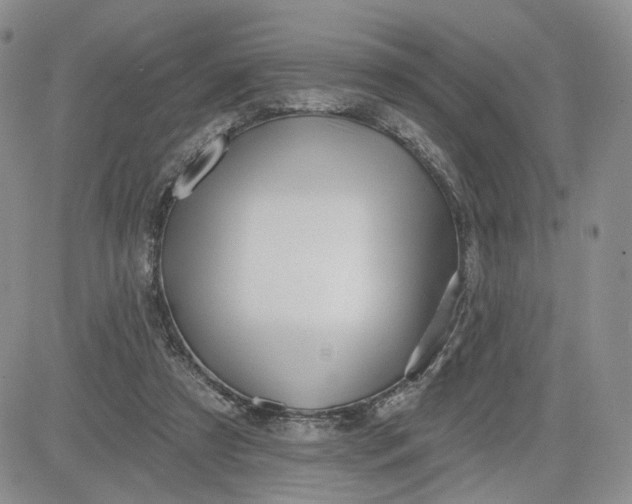 X0000081420305200701261600