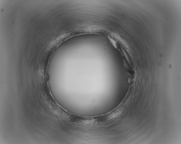 X0000081420306200701261600