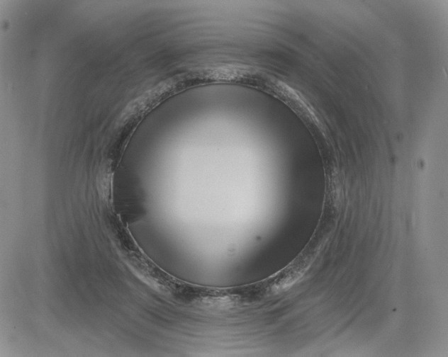 X0000081420307200701261600