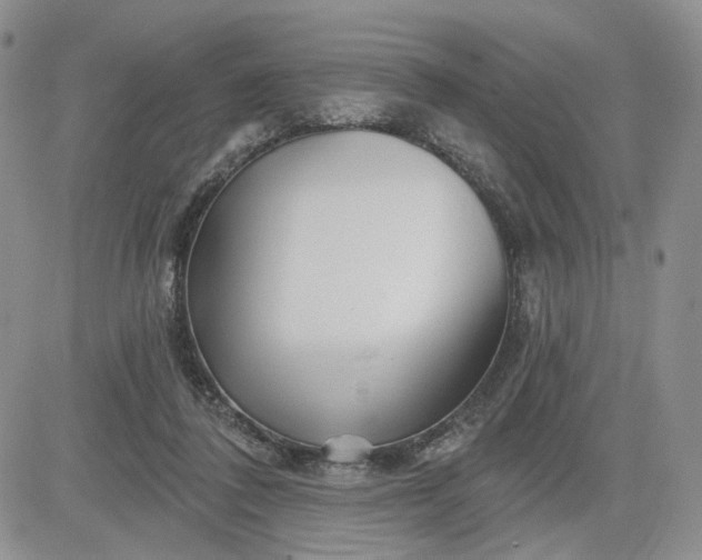 X0000081420308200701261600