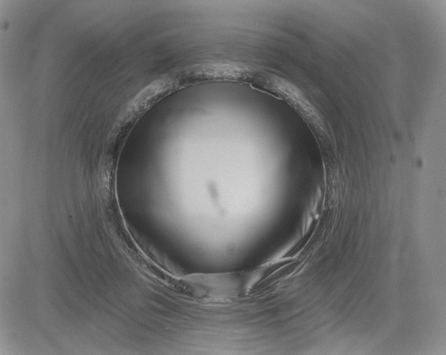 X0000081420309200701261600