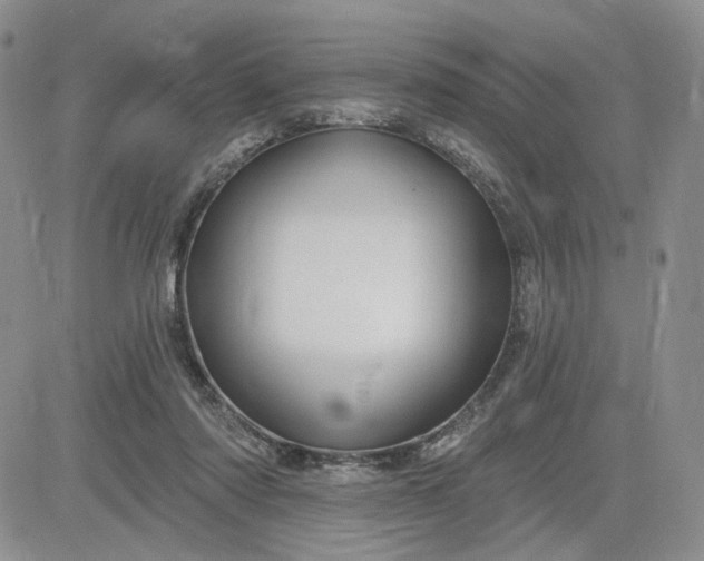 X0000081420310200701261600