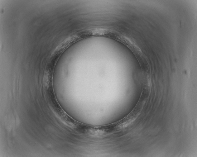 X0000081420311200701261600