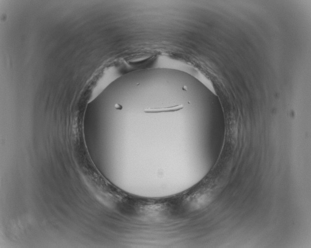 X0000081420312200701261600