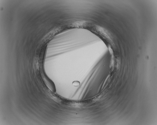 X0000081420313200701261600