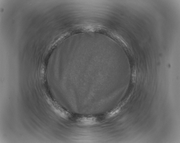 X0000081420314200701261600