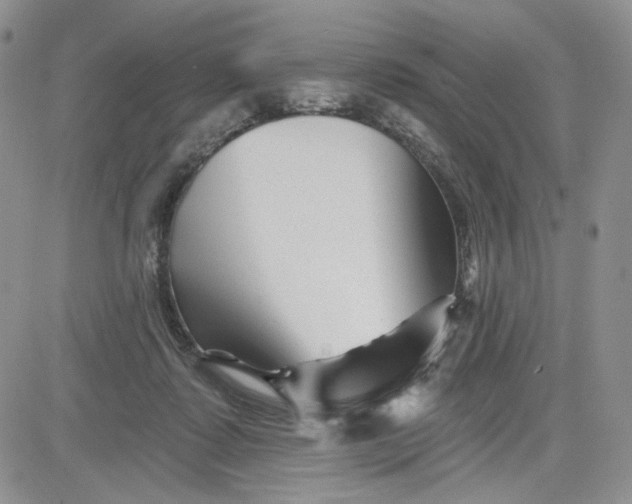 X0000081420315200701261600