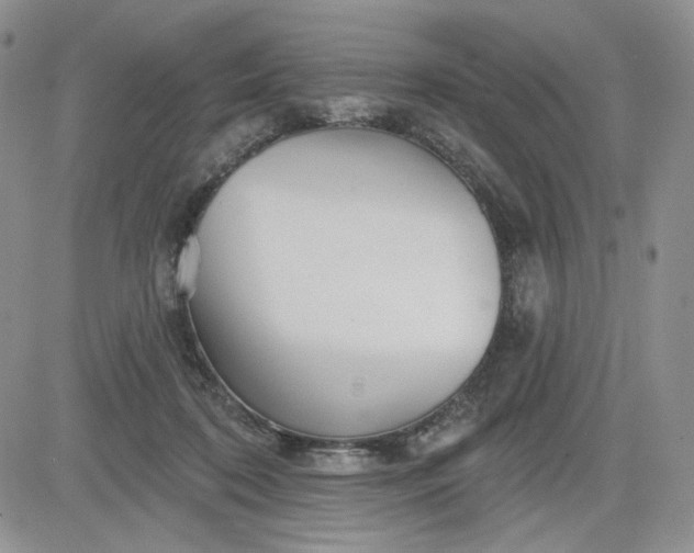 X0000081420316200701261600