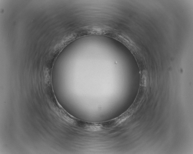 X0000081420318200701261600