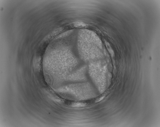 X0000081420319200701261600