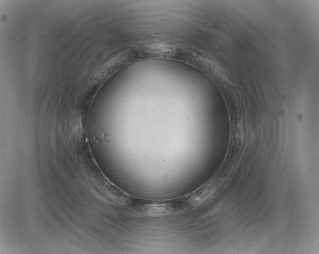 X0000081420320200701261600