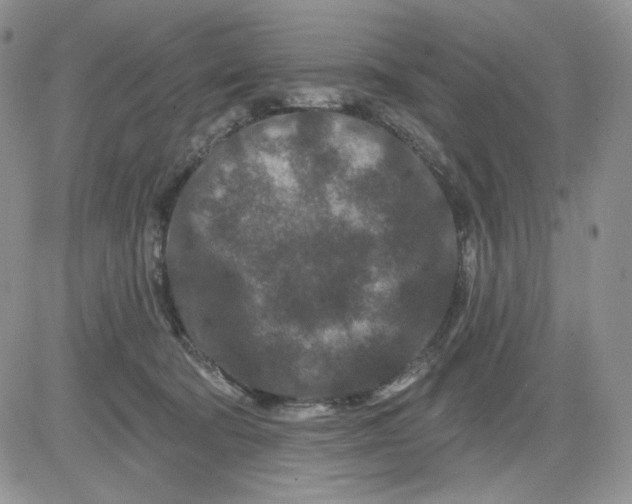 X0000081420322200701261600