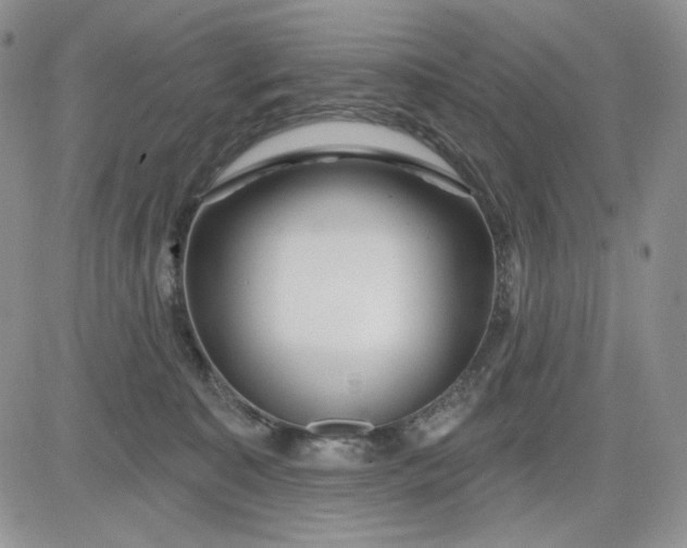 X0000081420323200701261600