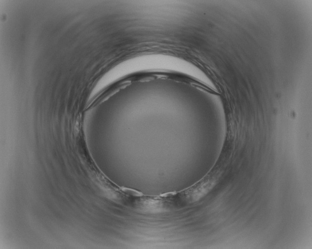 X0000081420325200701261600