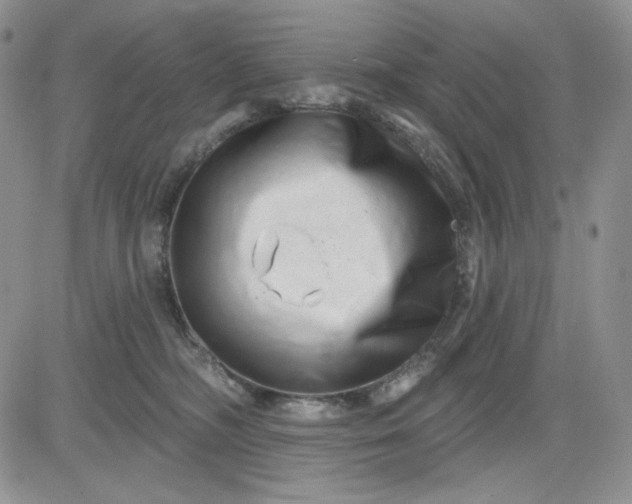 X0000081420326200701261600