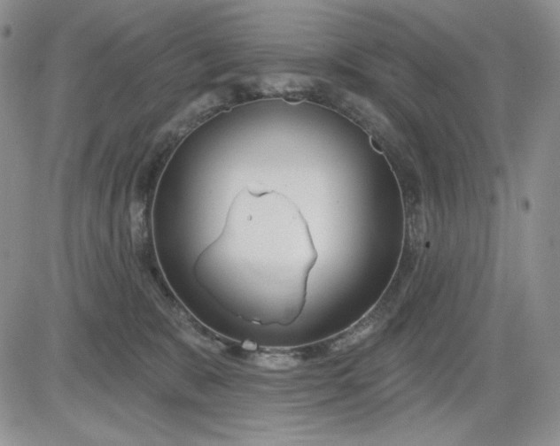 X0000081420327200701261600