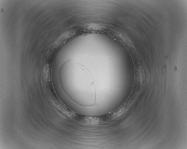 X0000081420328200701261600