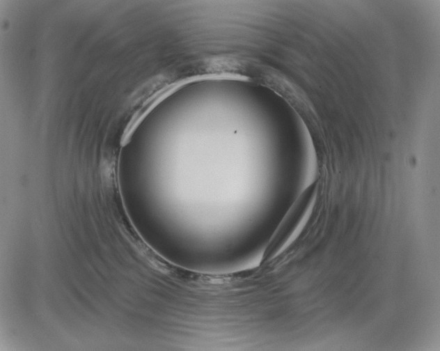 X0000081420329200701261600