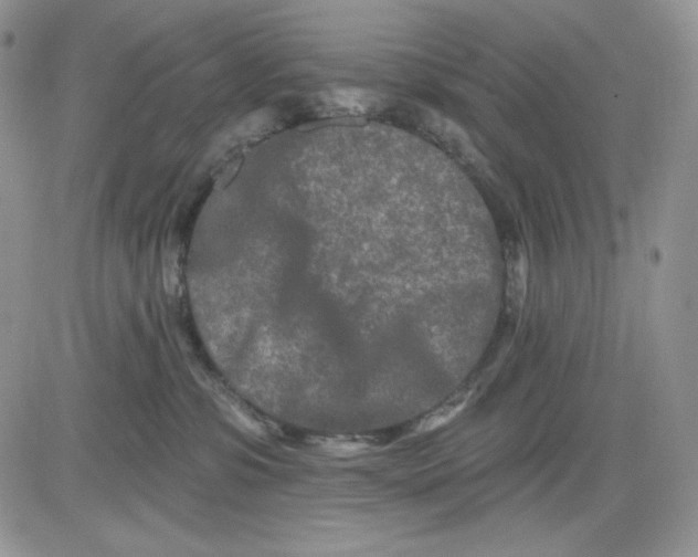 X0000081420331200701261600