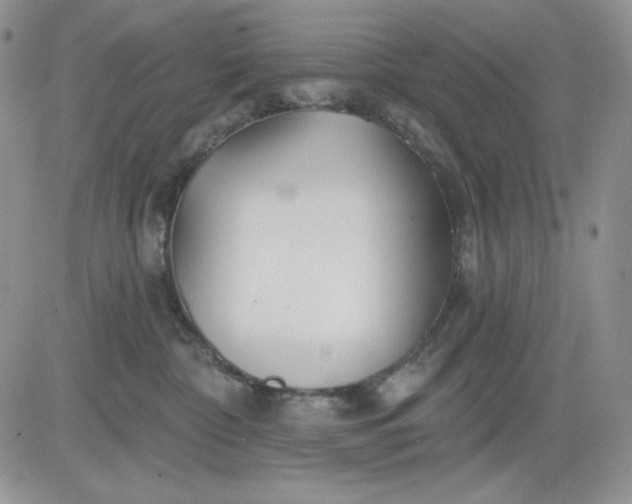 X0000081420332200701261600