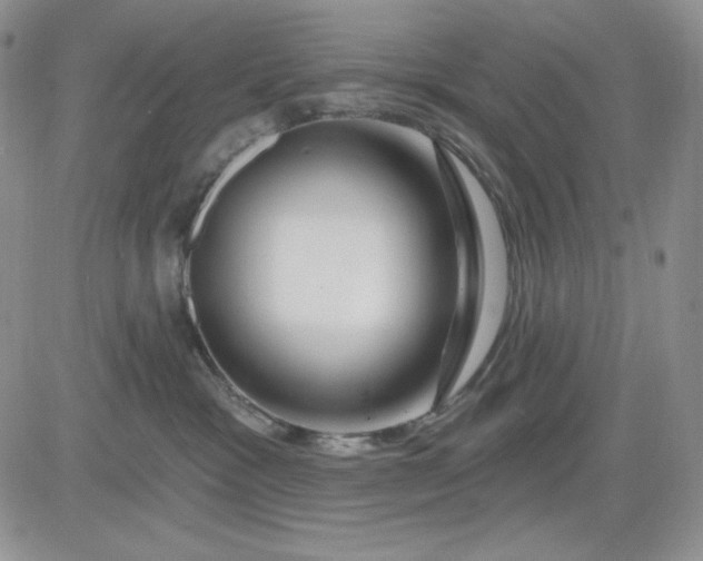 X0000081420333200701261600