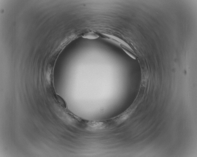 X0000081420334200701261600