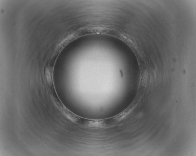 X0000081420335200701261600