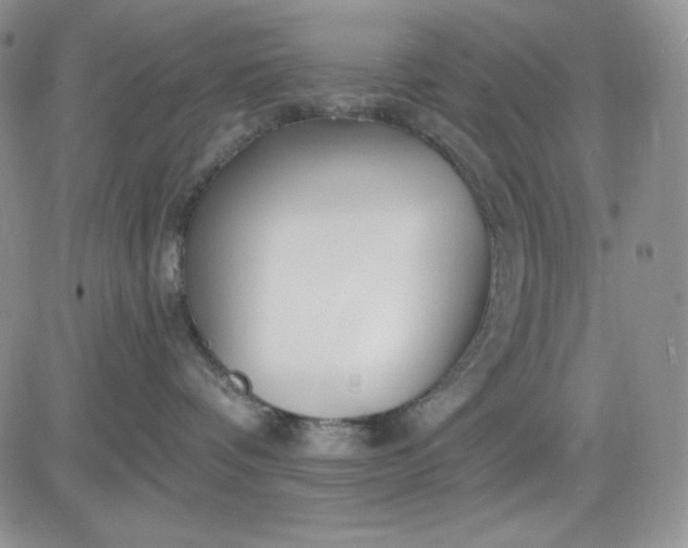 X0000081420336200701261600