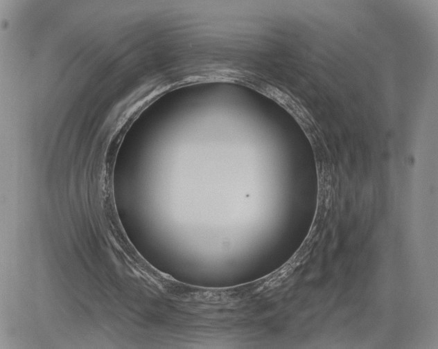 X0000081420338200701261559