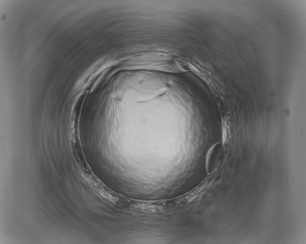 X0000081420339200701261559