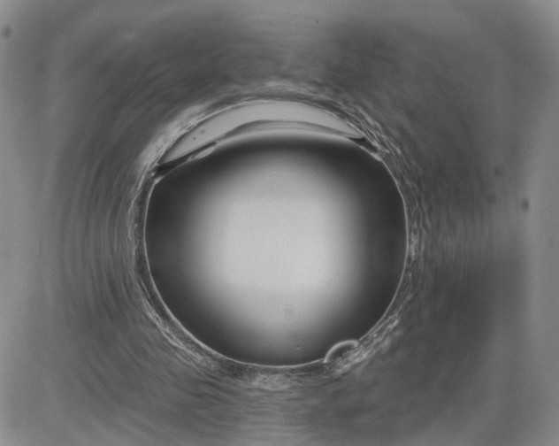 X0000081420341200701261559