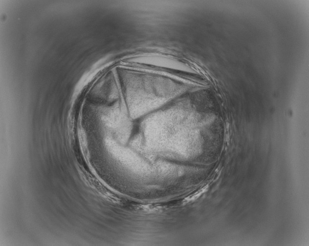 X0000081420343200701261559