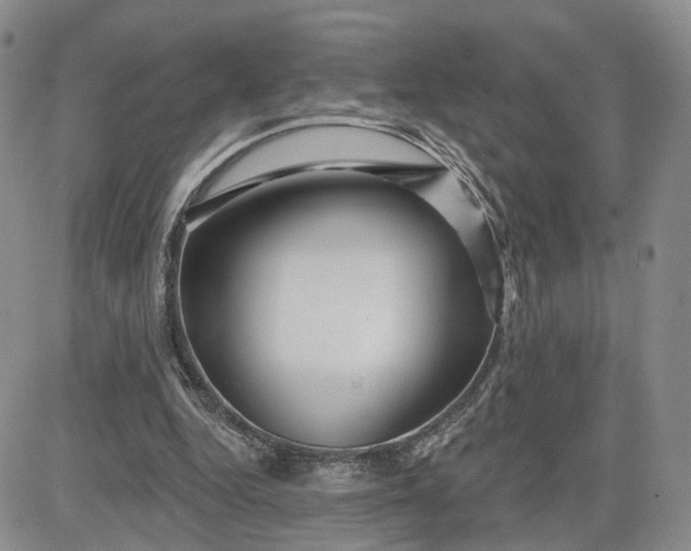 X0000081420344200701261559