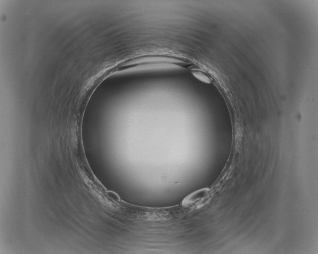 X0000081420345200701261559