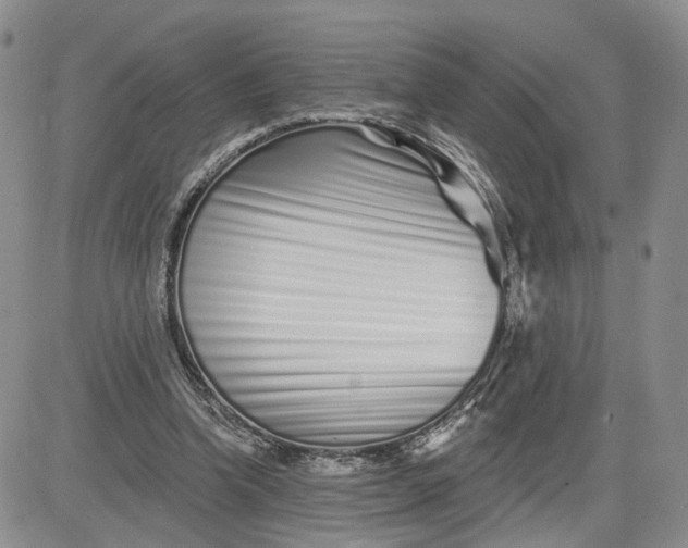 X0000081420346200701261559