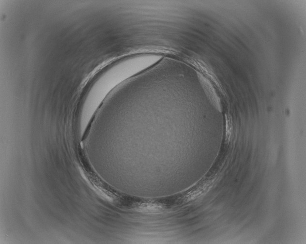 X0000081420348200701261559