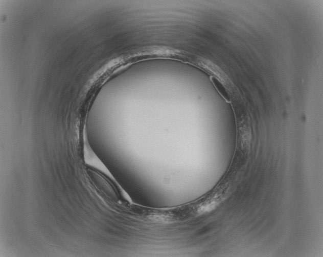 X0000081420350200701261559