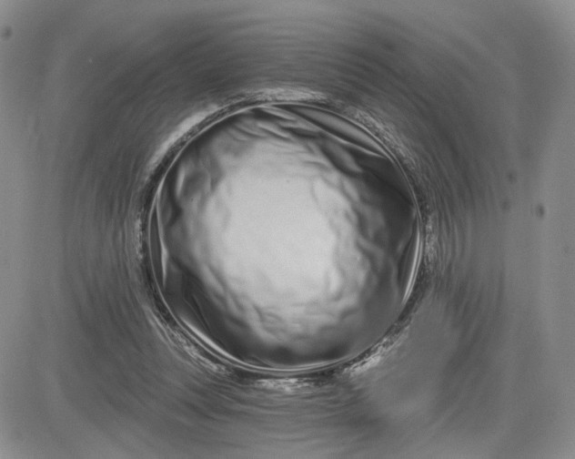 X0000081420351200701261559